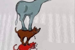donkey-on-top