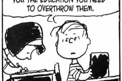 peanuts-on-education
